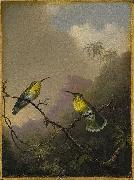 Martin Johnson Heade Two Humming Birds oil painting